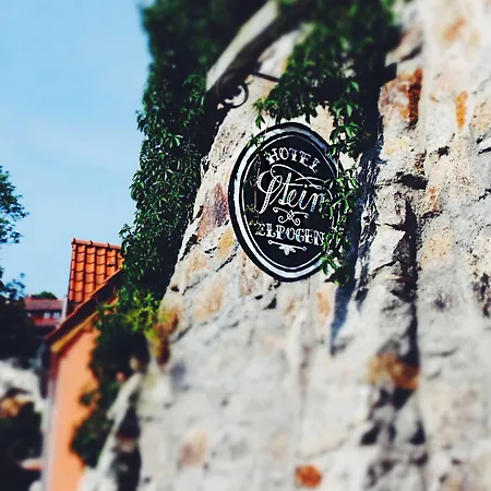 Stein Elbogen