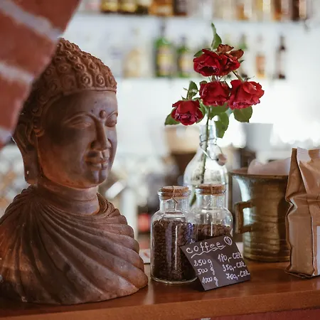 Stein Elbogen ゲストハウス 3*