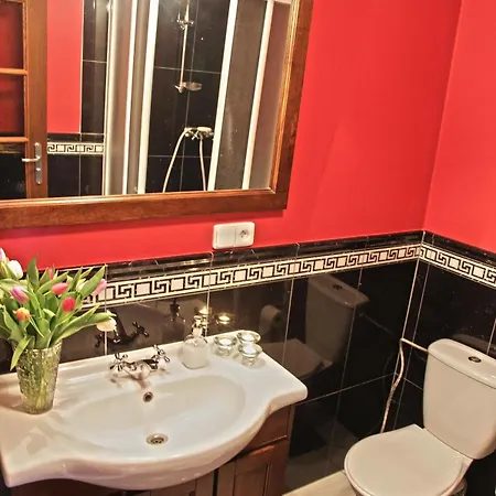 Stein Elbogen Guest house