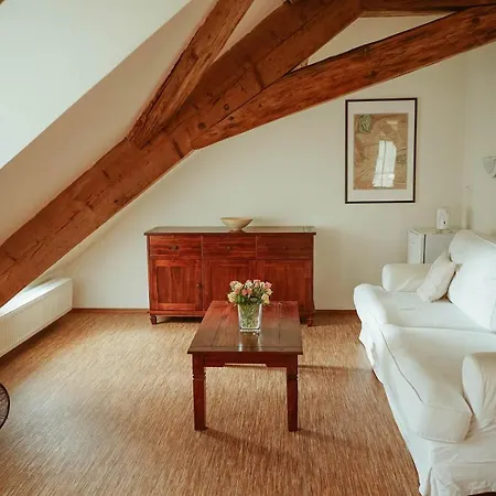 Guest house Stein Elbogen 3*