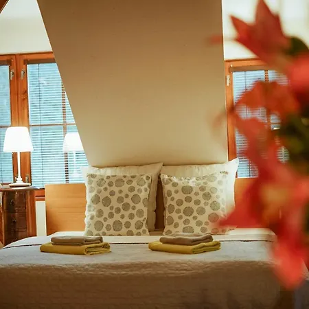Guest house Stein Elbogen