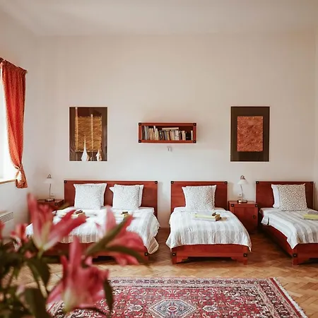 Stein Elbogen Guest house 3*