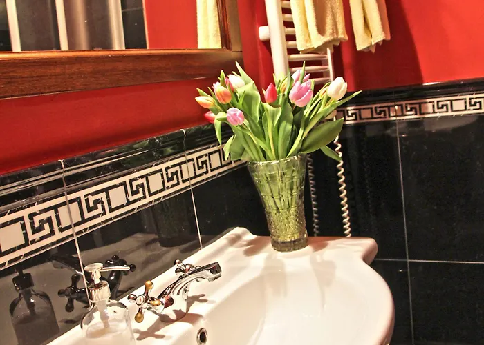 Stein Elbogen