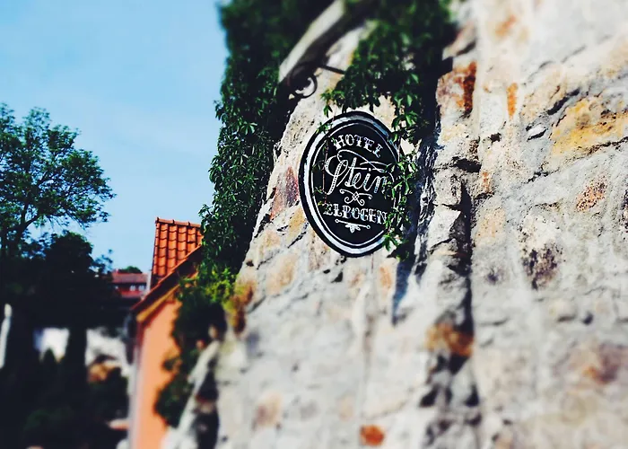 Stein Elbogen